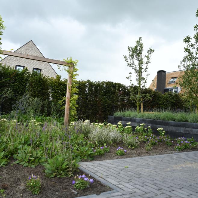 Pergola met klimplanten